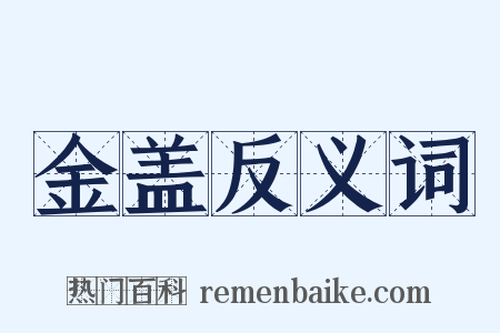 金盖反义词是什么意思的图片